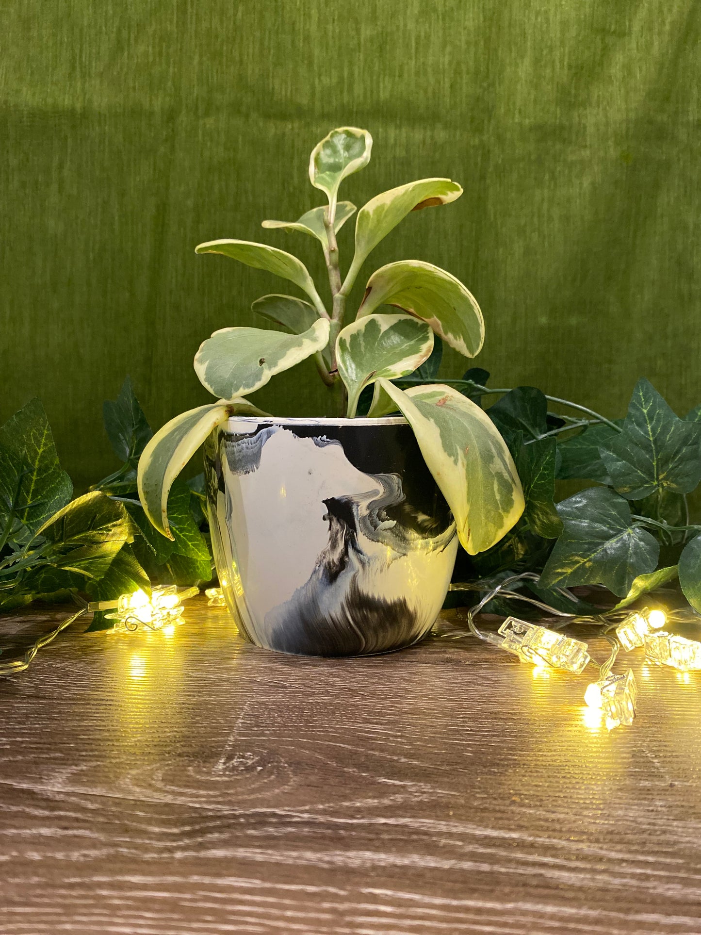 Indoor Plant Pot