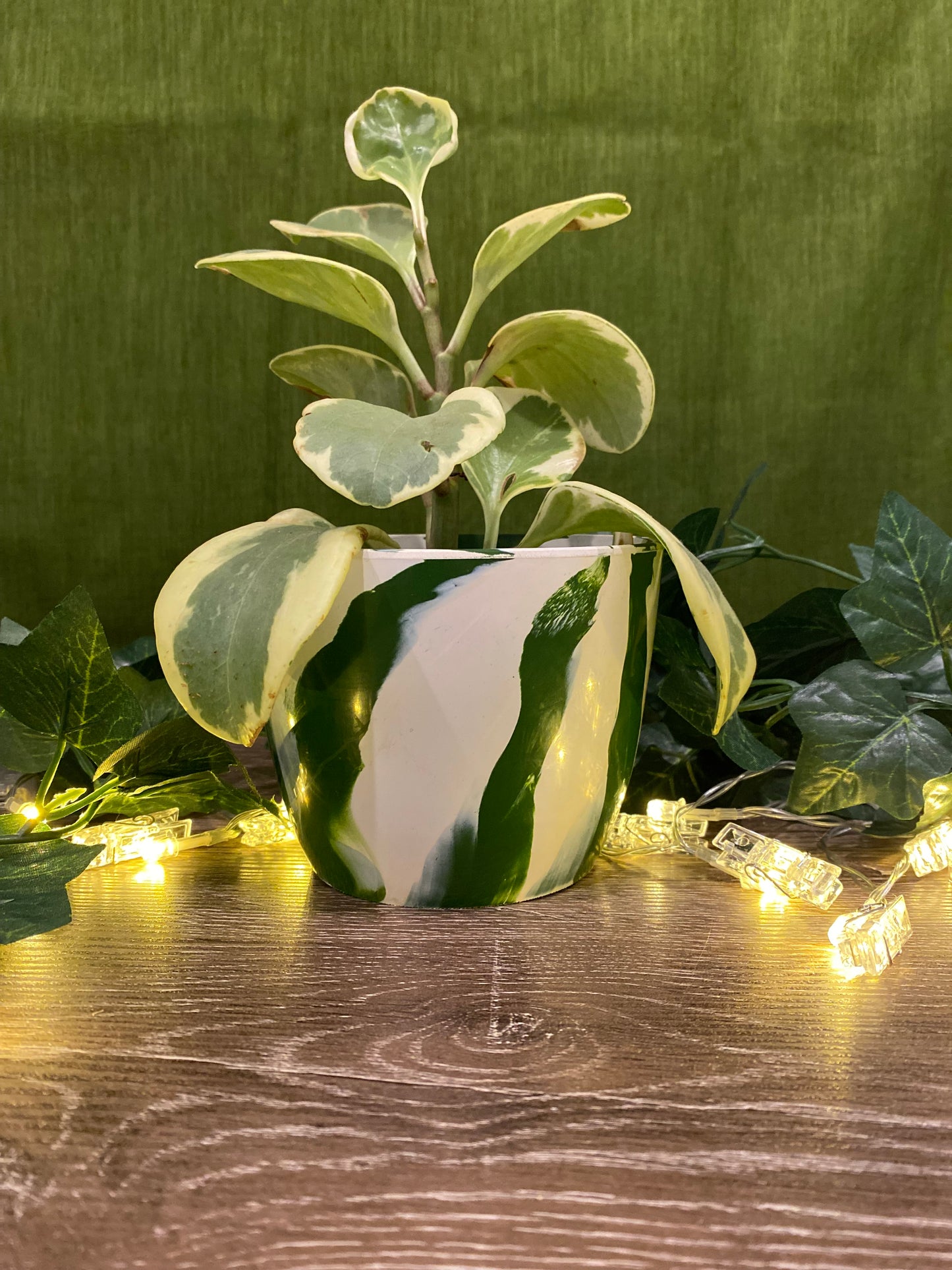 Indoor Plant Pot