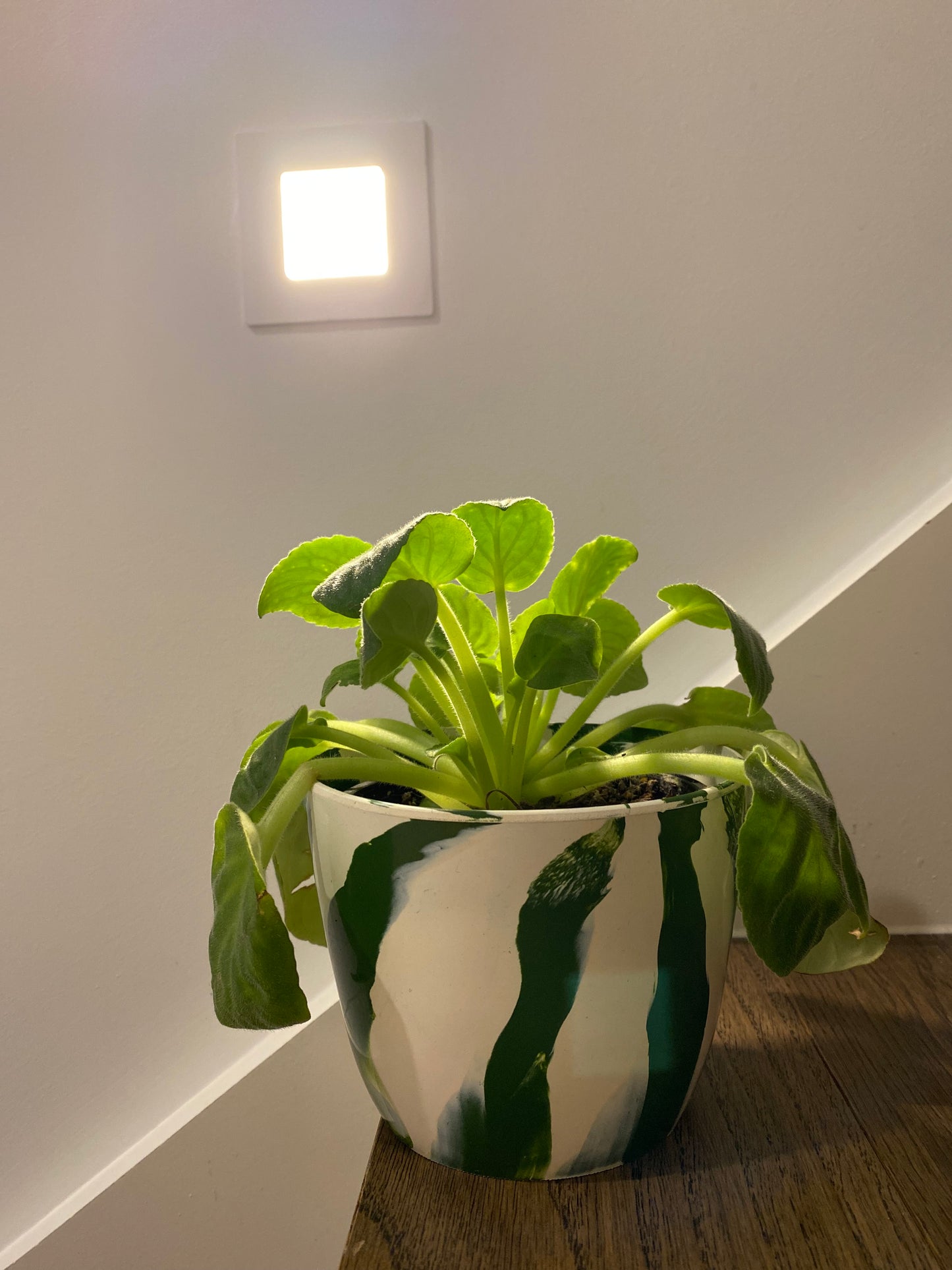 Indoor Plant Pot