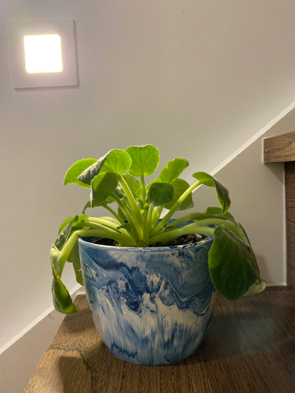 Indoor Plant Pot