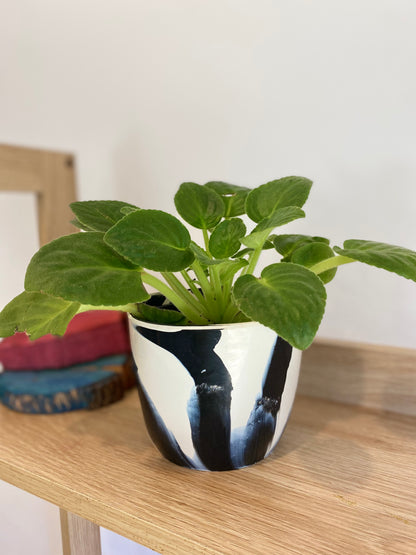 Indoor Plant Pot