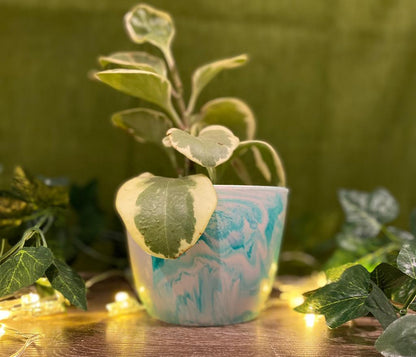 Indoor Plant Pot